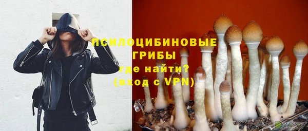 каннабис Яровое