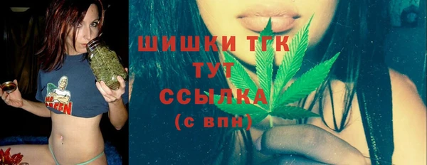 молекула духа Дмитриев