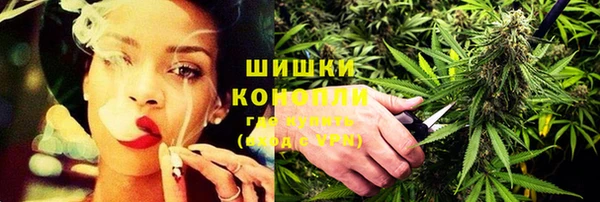 молекула духа Дмитриев