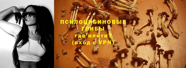 крисы Янаул