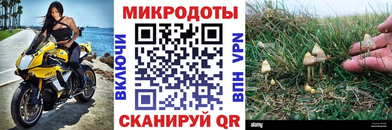 Псилоцибиновые грибы прущие грибы  mega ONION  площадка официальный сайт  Новый Оскол 